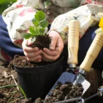 How To Clean Your Home Faster And More Efficiently.