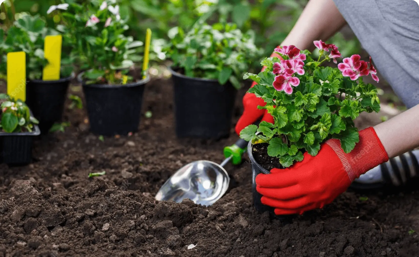 Adipiscing elit, sed do eiusmod tempor Foundation.